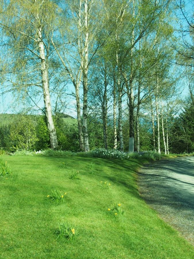 The Garden Room At Te Anau Country Accommodation Exterior foto